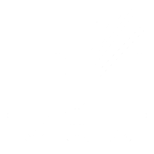 Hair Transplantations